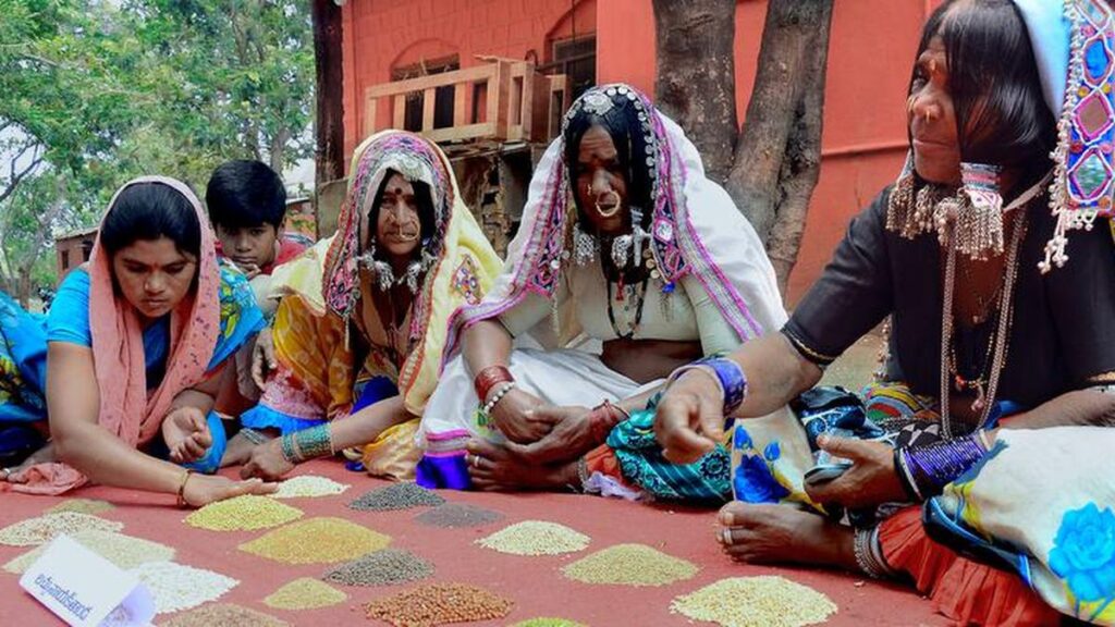 बाजरे से लेकर अविश्वास तक, फसल बर्बाद हो गई