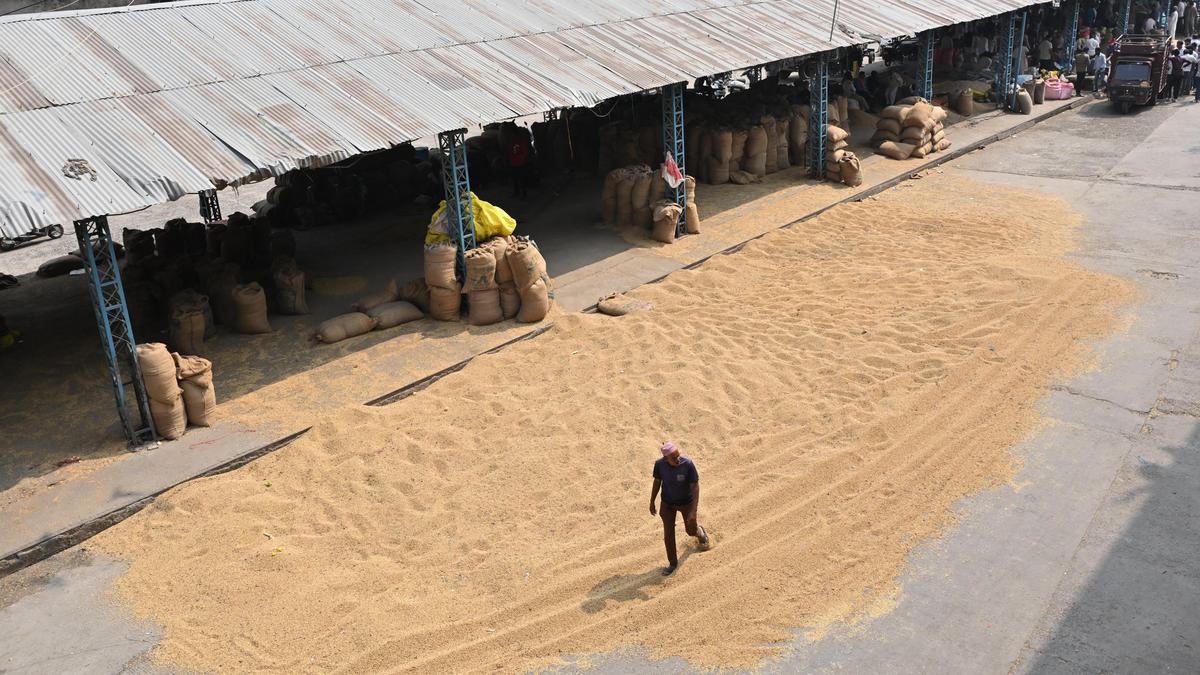 'सोया राज्य' में परेशानी: मध्य प्रदेश के सोयाबीन किसानों की रुचि कई कारकों से कम हो गई है