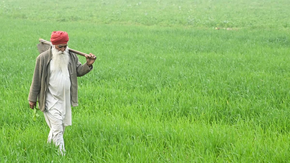 बजट में कृषि की वित्तीय रूप से उपेक्षा की गई है