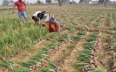 किसानों की आय बढ़ाने के लिए कृषि में एकीकृत दृष्टिकोण पर जोर