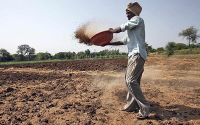 उर्वरक सुरक्षा मजबूत और स्थिर: केंद्र सरकार