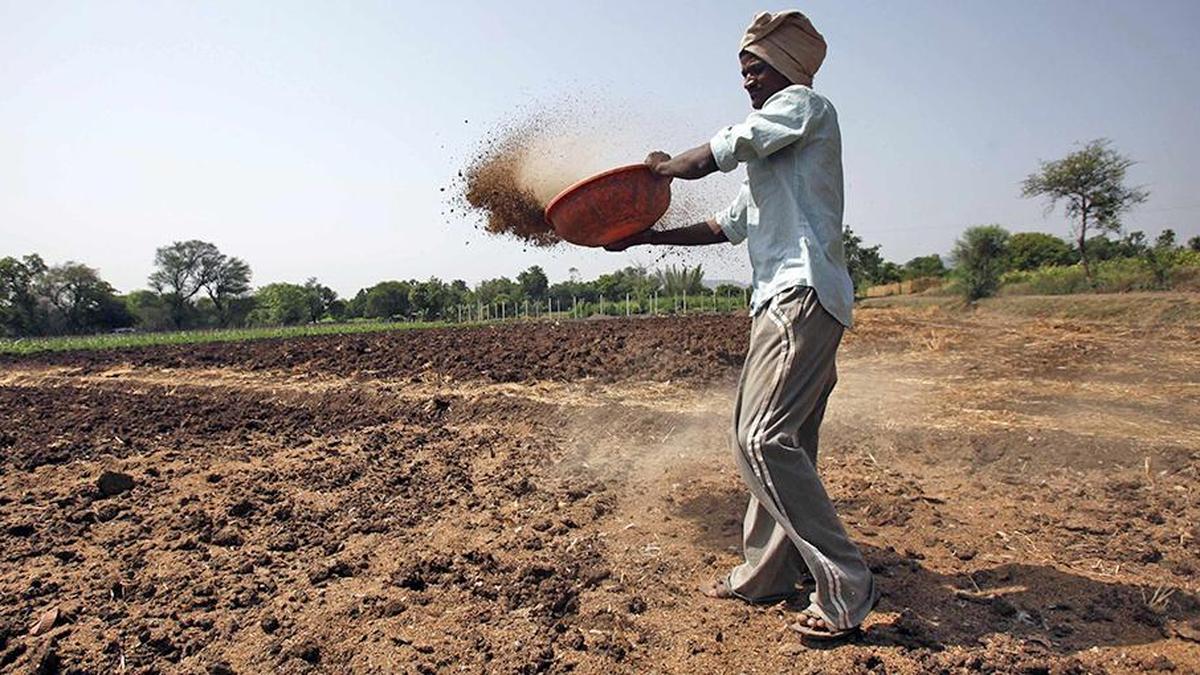 उर्वरक सुरक्षा मजबूत और स्थिर: केंद्र सरकार