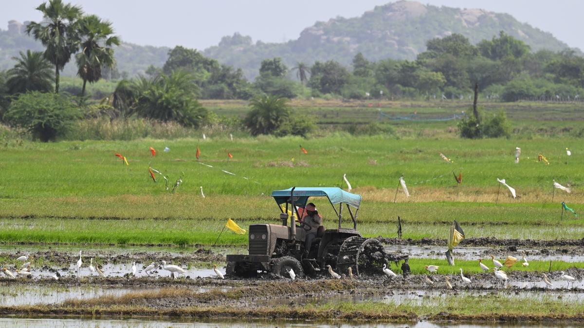 ट्रैक्टर निर्यात में हरित लाभ