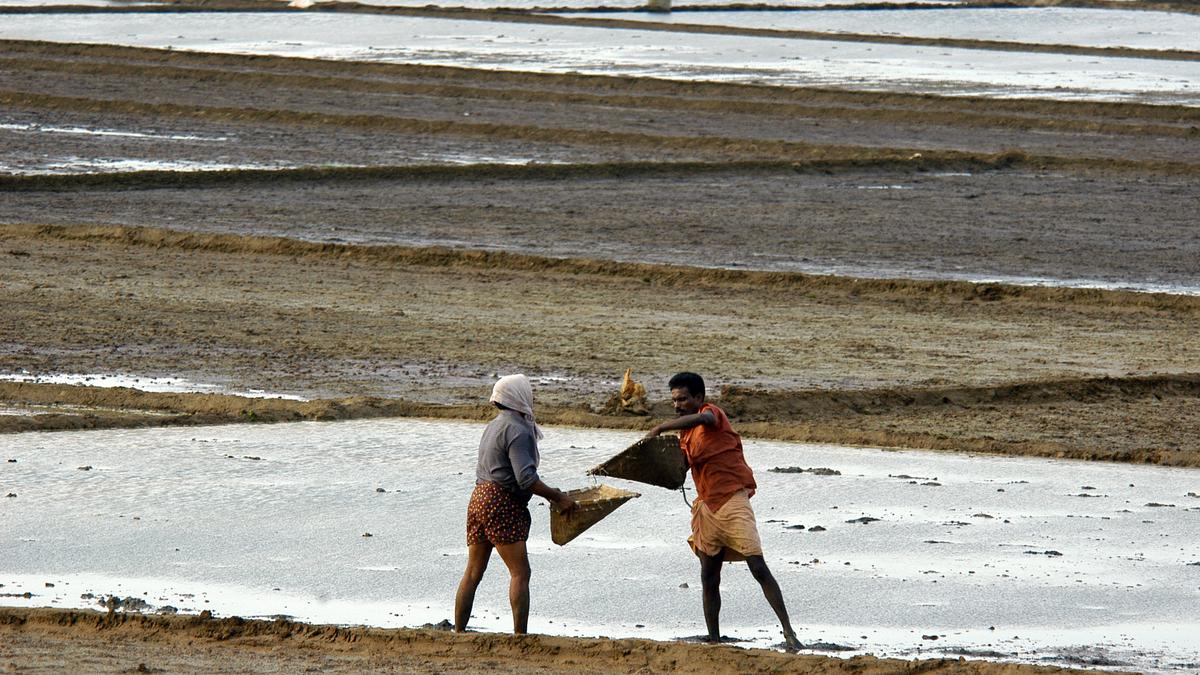 पीएम के प्रधान सचिव ने चावल, दाल, तिलहन में हाइब्रिड बीजों के इस्तेमाल का समर्थन किया