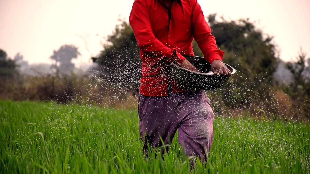 केंद्र ने जमाखोरी के आरोप में 4,000 से अधिक उर्वरक वितरकों के लाइसेंस निलंबित कर दिए