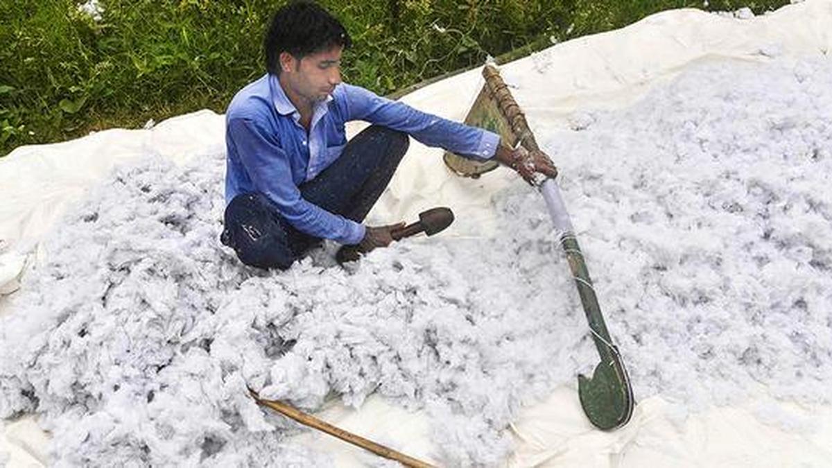 सरकार ने कपास पर 30 अक्टूबर तक आयात शुल्क से छूट दी
