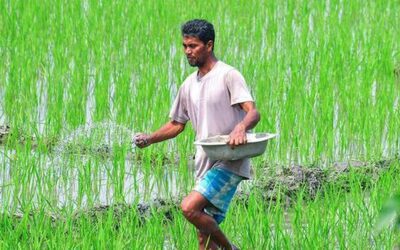 सरकार का कहना है कि ख़रीफ़ मांग को पूरा करने के लिए उर्वरकों का पर्याप्त भंडार है; घबराकर खरीदारी करने की कोई जरूरत नहीं है