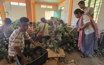सड़क किनारे विक्रेता बने निर्यातक: मेघालय के 'गिनने वाले' किसानों को मेहनत का फल मिलता है