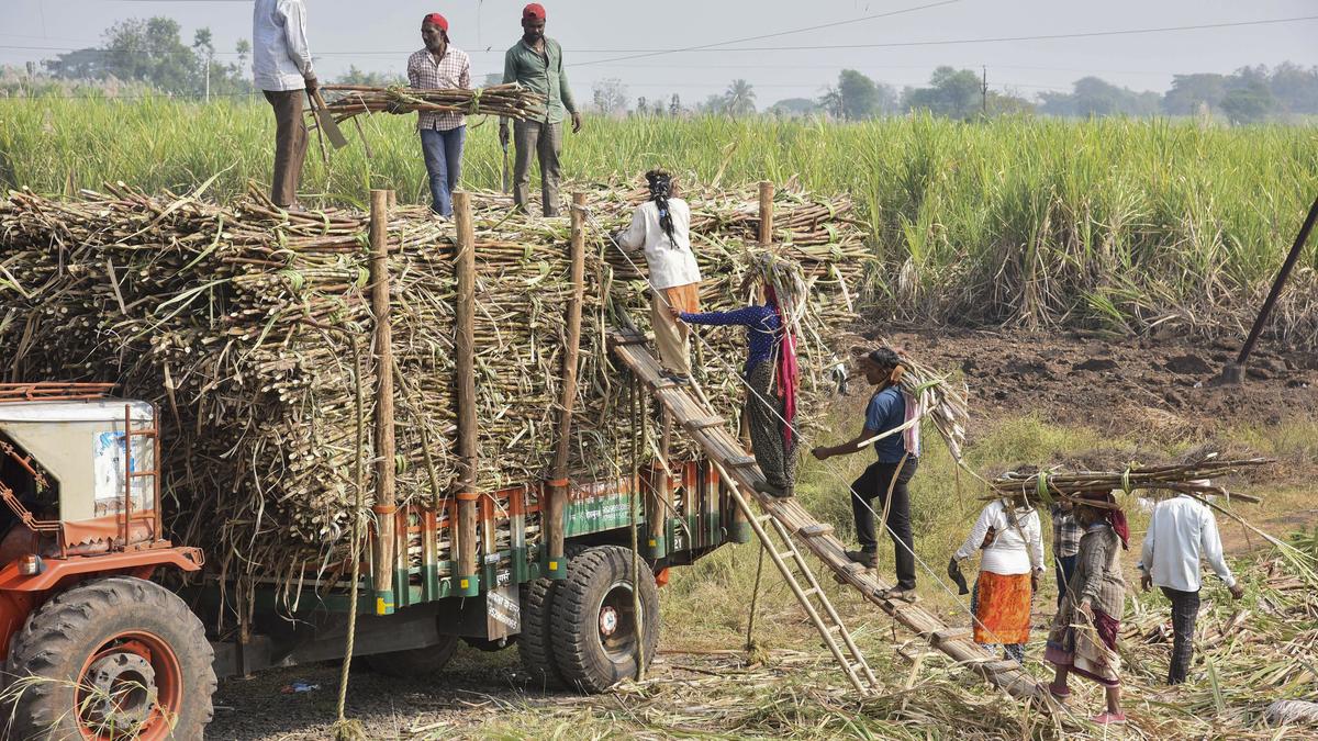 इथेनॉल सम्मिश्रण का क्या प्रभाव पड़ा है?
